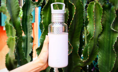 The Perfect Sip: Why Gift Reusable Water Bottles with Infusers This Year?